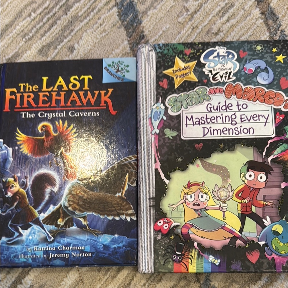 Set of 2 hardcover books